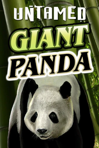 Демо игра Untamed - Giant Panda от Microgaming | Casino X BY